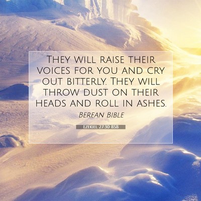 Picture 07 - Ezekiel 27:30 BSB - They will raise their voices for you and cry out - Bible Verse Picture