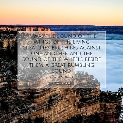 Picture 07 - Ezekiel 3:13 BSB - It was the sound of the wings of the living - Bible Verse Picture