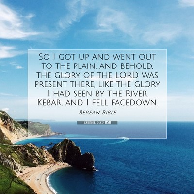 Picture 07 - Ezekiel 3:23 BSB - So I got up and went out to the plain, and - Bible Verse Picture