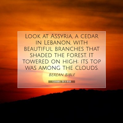 Picture 07 - Ezekiel 31:3 BSB - Look at Assyria, a cedar in Lebanon, with - Bible Verse Picture