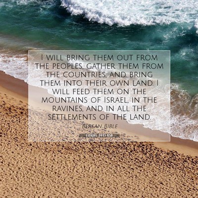 Picture 07 - Ezekiel 34:13 BSB - I will bring them out from the peoples, gather - Bible Verse Picture