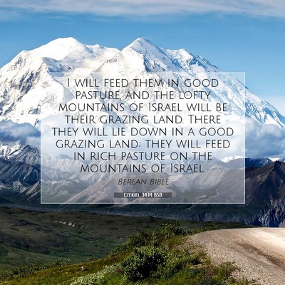 Picture 07 - Ezekiel 34:14 BSB - I will feed them in good pasture, and the lofty - Bible Verse Picture