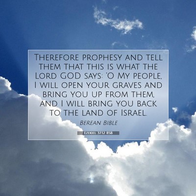 Picture 07 - Ezekiel 37:12 BSB - Therefore prophesy and tell them that this is - Bible Verse Picture