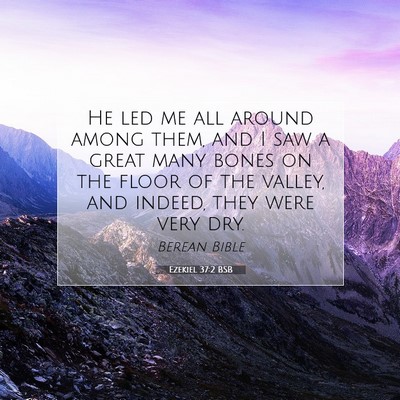 Picture 07 - Ezekiel 37:2 BSB - He led me all around among them, and I saw a - Bible Verse Picture