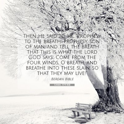 Picture 07 - Ezekiel 37:9 BSB - Then He said to me, “Prophesy to the breath; - Bible Verse Picture