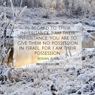 Picture 07 - Ezekiel 44:28 BSB - In regard to their inheritance, I am their - Bible Verse Picture