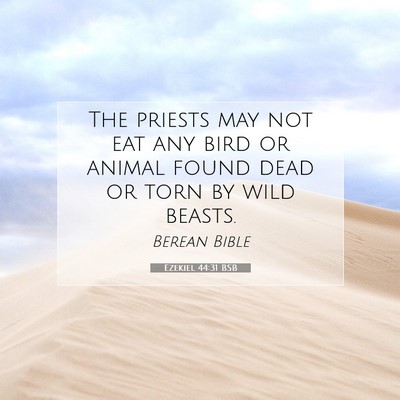 Picture 07 - Ezekiel 44:31 BSB - The priests may not eat any bird or animal found - Bible Verse Picture