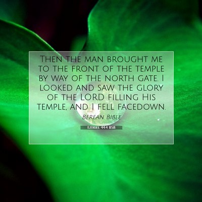 Picture 07 - Ezekiel 44:4 BSB - Then the man brought me to the front of the - Bible Verse Picture