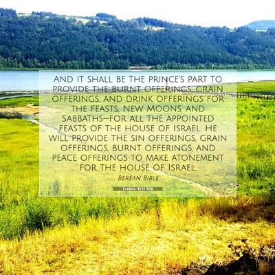 Picture 07 - Ezekiel 45:17 BSB - And it shall be the prince’s part to provide - Bible Verse Picture
