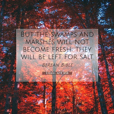 Picture 07 - Ezekiel 47:11 BSB - But the swamps and marshes will not become fresh; - Bible Verse Picture