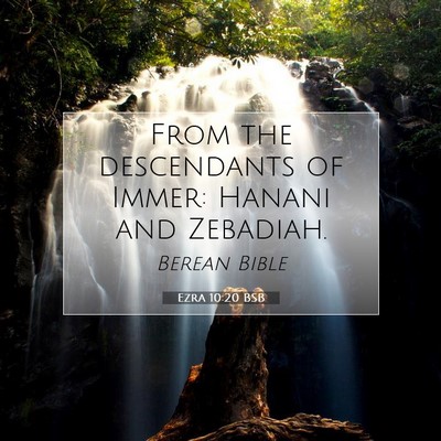 Picture 07 - Ezra 10:20 BSB - From the descendants of Immer: Hanani and - Bible Verse Picture