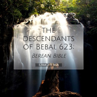 Picture 07 - Ezra 2:11 BSB - the descendants of Bebai, - Bible Verse Picture