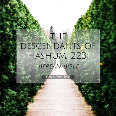 Picture 07 - Ezra 2:19 BSB - the descendants of Hashum, - Bible Verse Picture