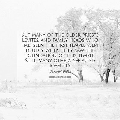 Picture 07 - Ezra 3:12 BSB - But many of the older priests, Levites, and - Bible Verse Picture