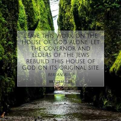 Picture 07 - Ezra 6:7 BSB - Leave this work on the house of God alone. Let - Bible Verse Picture