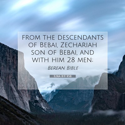 Picture 07 - Ezra 8:11 BSB - from the descendants of Bebai, Zechariah son of - Bible Verse Picture