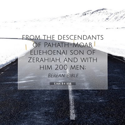 Picture 07 - Ezra 8:4 BSB - from the descendants of Pahath-Moab, Eliehoenai - Bible Verse Picture