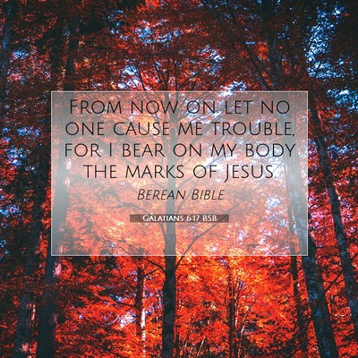 Picture 07 - Galatians 6:17 BSB - From now on let no one cause me trouble, for I - Bible Verse Picture