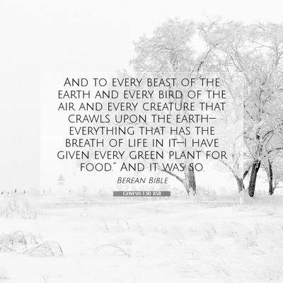 Picture 07 - Genesis 1:30 BSB - And to every beast of the earth and every bird of - Bible Verse Picture