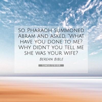 Picture 07 - Genesis 12:18 BSB - So Pharaoh summoned Abram and asked, “What have - Bible Verse Picture