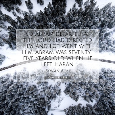 Picture 07 - Genesis 12:4 BSB - So Abram departed, as the LORD had directed him, - Bible Verse Picture