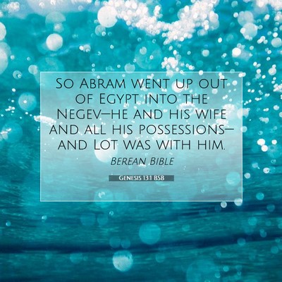 Picture 07 - Genesis 13:1 BSB - So Abram went up out of Egypt into the Negev—he - Bible Verse Picture