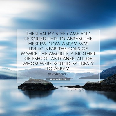 Picture 07 - Genesis 14:13 BSB - Then an escapee came and reported this to Abram - Bible Verse Picture