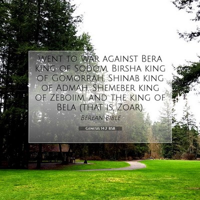 Picture 07 - Genesis 14:2 BSB - went to war against Bera king of Sodom, Birsha - Bible Verse Picture