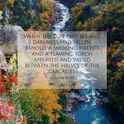 Picture 07 - Genesis 15:17 BSB - When the sun had set and darkness had fallen, - Bible Verse Picture