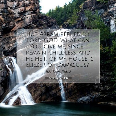 Picture 07 - Genesis 15:2 BSB - But Abram replied, “O Lord GOD, what can You - Bible Verse Picture