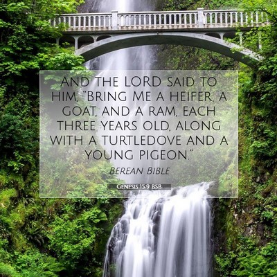 Picture 07 - Genesis 15:9 BSB - And the LORD said to him, “Bring Me a heifer, a - Bible Verse Picture