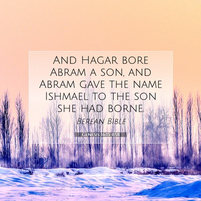 Picture 07 - Genesis 16:15 BSB - And Hagar bore Abram a son, and Abram gave the - Bible Verse Picture