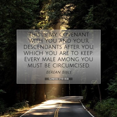 Picture 07 - Genesis 17:10 BSB - This is My covenant with you and your descendants - Bible Verse Picture