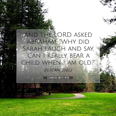 Picture 07 - Genesis 18:13 BSB - And the LORD asked Abraham, “Why did Sarah - Bible Verse Picture