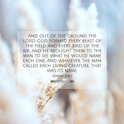 Picture 07 - Genesis 2:19 BSB - And out of the ground the LORD God formed every - Bible Verse Picture