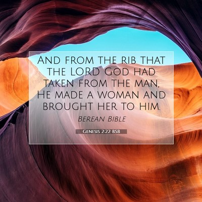 Picture 07 - Genesis 2:22 BSB - And from the rib that the LORD God had taken from - Bible Verse Picture