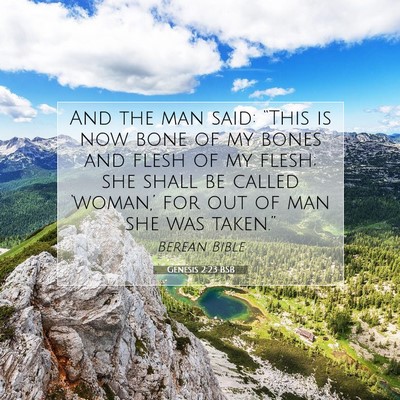 Picture 07 - Genesis 2:23 BSB - And the man said: “This is now bone of my bones - Bible Verse Picture