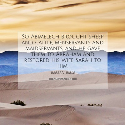 Picture 07 - Genesis 20:14 BSB - So Abimelech brought sheep and cattle, - Bible Verse Picture