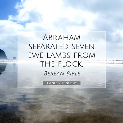 Picture 07 - Genesis 21:28 BSB - Abraham separated seven ewe lambs from the - Bible Verse Picture