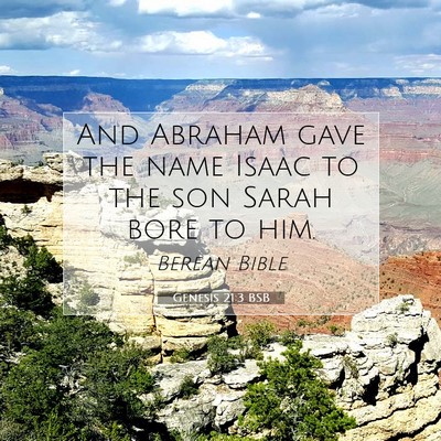 Picture 07 - Genesis 21:3 BSB - And Abraham gave the name Isaac to the son Sarah - Bible Verse Picture