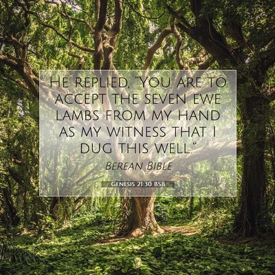 Picture 07 - Genesis 21:30 BSB - He replied, “You are to accept the seven ewe - Bible Verse Picture