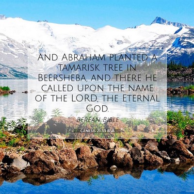 Picture 07 - Genesis 21:33 BSB - And Abraham planted a tamarisk tree in Beersheba, - Bible Verse Picture