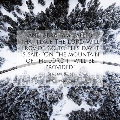 Picture 07 - Genesis 22:14 BSB - And Abraham called that place The LORD Will - Bible Verse Picture