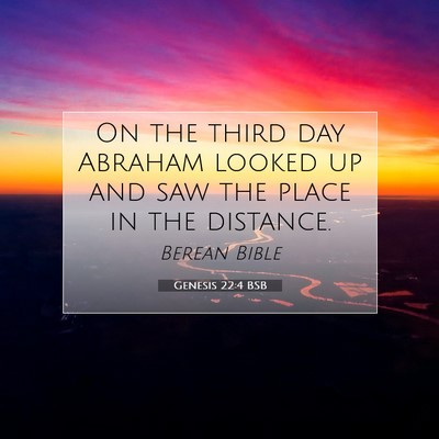 Picture 07 - Genesis 22:4 BSB - On the third day Abraham looked up and saw the - Bible Verse Picture