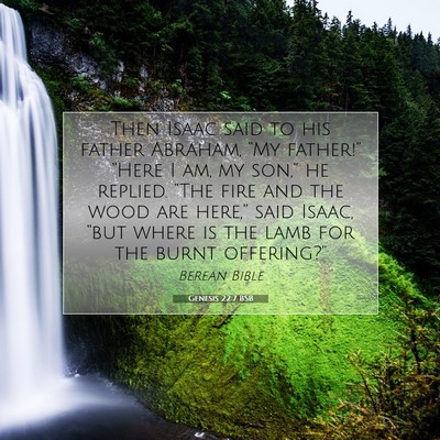 Picture 07 - Genesis 22:7 BSB - Then Isaac said to his father Abraham, “My - Bible Verse Picture