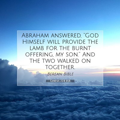 Picture 07 - Genesis 22:8 BSB - Abraham answered, “God Himself will provide the - Bible Verse Picture