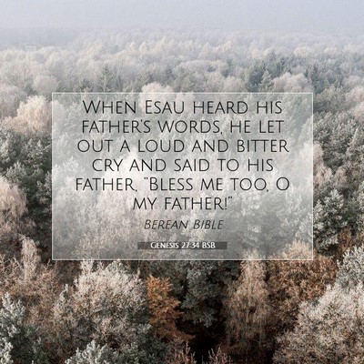 Picture 07 - Genesis 27:34 BSB - When Esau heard his father’s words, he let out - Bible Verse Picture