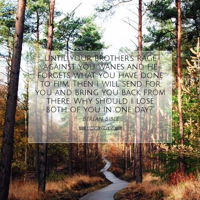Picture 07 - Genesis 27:45 BSB - until your brother’s rage against you wanes and - Bible Verse Picture