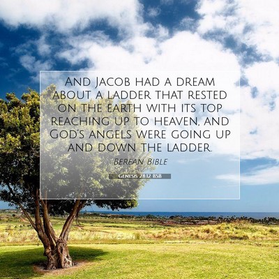 Picture 07 - Genesis 28:12 BSB - And Jacob had a dream about a ladder that rested - Bible Verse Picture