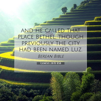 Picture 07 - Genesis 28:19 BSB - and he called that place Bethel, though - Bible Verse Picture